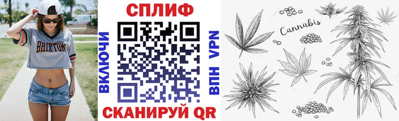 Купить  Буй  Марихуана гибрид 